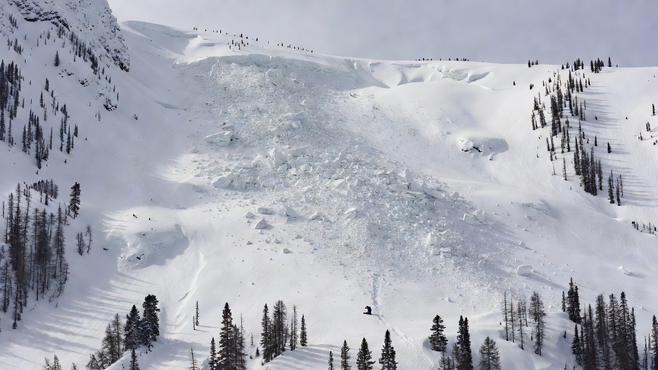 A huge pale avalanche debris field below a ridge in flat light, a single small kneeling figure near the trees at its lower edge, dwarfed by the slope.
